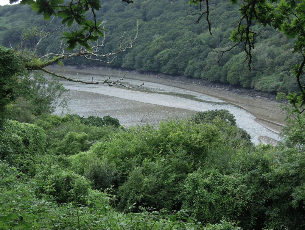 River bed at low tide