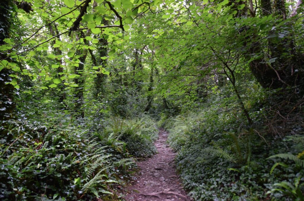 The footpath near Pont Quay